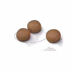 Royal Canin Medium Digestive Care 10 kg Adulte Légumes