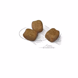 Royal Canin Mini Dental Care 3 kg Adulte Volaille