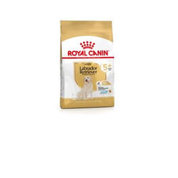 Royal Canin 3182550908412 Alimentation sèche pour chiens 12 kg Adulte Volaille