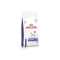 Croquettes chien VETERINARY DOG DENTAL SPECIAL SMALL - Royal Canin 15 kg