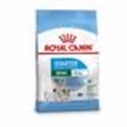 Croquettes pour chien adulte de petite taille - ROYAL CANIN STARTER MINI - 8kg