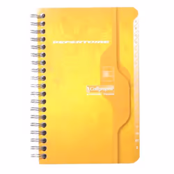 Clairefontaine 237C