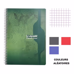 Cahier spiral - CLAIREFONTAINE - 21x297cm - 70g/m² - 100 pages - Petits carreaux 5x5