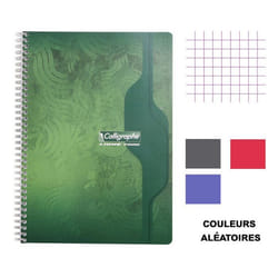 Cahier spiral - CLAIREFONTAINE - 21x297cm - 70g/m² - 100 pages - Petits carreaux 5x5