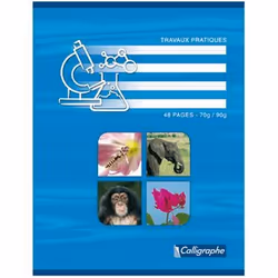 Cahier travaux pratiques piqures 17x22 48p