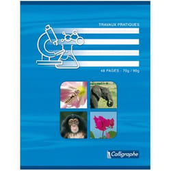 Cahier travaux pratiques piqures 17x22 48p