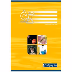 Cahier travaux pratiques piqures A4 96p