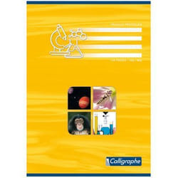 Cahier travaux pratiques piqures A4 96p