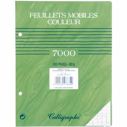 Feuille - CLAIREFONTAINE - 17x22 cm - 80g - Vert - Sachet de 50 feuillets