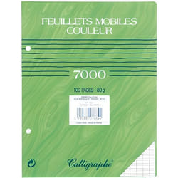 Feuille - CLAIREFONTAINE - 17x22 cm - 80g - Vert - Sachet de 50 feuillets