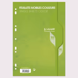 CALLIGRAPHE Feuilles simples couleur Vert perforées - 210 x 297 mm - 100 pages - Seyes papier Vélin Surfin 80 g avec encart
