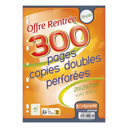 Copies doubles perforées - Calligraphe - 21x297 cm - 300 pages - 90g - Blanc