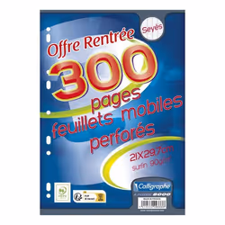 Feuilles perforées - CALLIGRAPHE - A4 - 300 pages - 90 g/m² - Grands carreaux Seyès