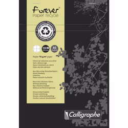 Clairefontaine 17255C, 100 feuilles