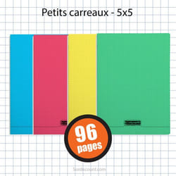 Carnet Polypro 90X140 96P Petits Carreaux 5X5 Assortiment Clairefontaine