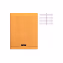 Cahier piqué - CALLIGRAPHE - 21x297 cm - 96 pages - Seyès - 90g/m² - Orange