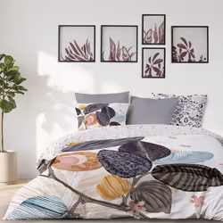 Planete Discount PD16051, Taie d'oreiller incluse