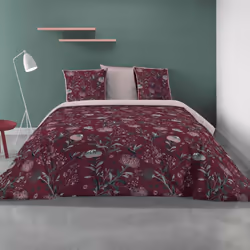 Planete Discount PD7535-240, Motifs, Lavage en machine, 40 °C, Oeko-Tex, 220 x 240 cm, Coton