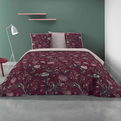 Parure de couette 100% Coton 57 fils Phytea - PD7535-240