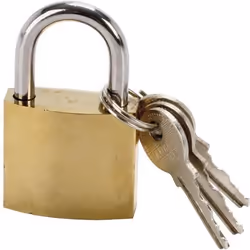 COGEX Cadenas en acier 30mm + 2 clés