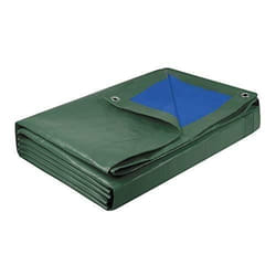 BACHE LOURDE 200G 6X10M COGEX 82723