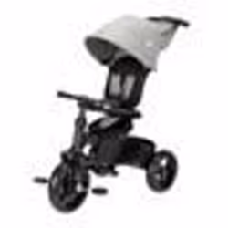BEBECONFORT WINDY Tricycle pliage compact confortable siège réversible de 10 mois à 5 ans Tinted Gray