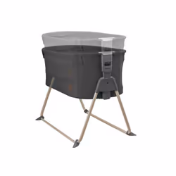 BURG-WÄCHTER PointSafe P 2 E FS Coffre-fort indépendant Métal Noir