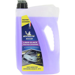 Lave glace -20°C - 4 Litres Michelin