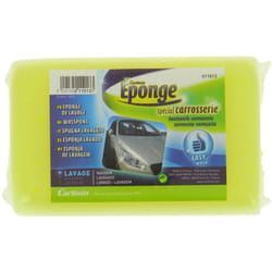 Carlinea - Eponge de lavage