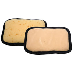 Carlinea Eponge Vitre Compacte