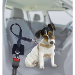 Animals&Car 170010 laisse pour chiens et chats 1,2 m Noir Polyester Chien Laisse de sécurité pour ceinture de sécurité