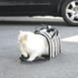 FIDELAMI sac de transport taille L - sac de transport chien