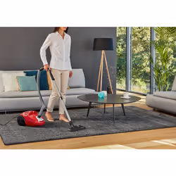 Rowenta Compact Power RO395 3 L Aspirateur réservoir cylindrique Sec 750 W Sac à poussière