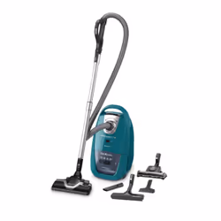 Rowenta Silence Force RO7799EA, 450 W, Aspirateur sans sac, Sec, Sans sac, 4,5 L, mousse, Filtre hygiénique