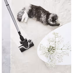 Rowenta Silence Force RO7450EA Aspirateur 4,5 L Aspirateur réservoir cylindrique Sec Sac à poussière - Vue supplémentaire 10