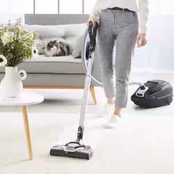 Rowenta Silence Force RO7450EA Aspirateur 4,5 L Aspirateur réservoir cylindrique Sec Sac à poussière