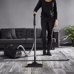 Rowenta Green Force Silence RO6164EA Aspirateur 4,5 L Aspirateur réservoir cylindrique Sec 900 W Sac à poussière