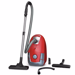 Rowenta Power XXL RO3154EA Aspirateur 4,5 L Sec 900 W Sac à poussière