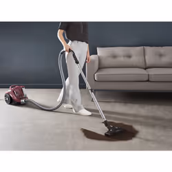 Rowenta Compact Power XXL RO4B63 2,5 L Aspirateur réservoir cylindrique Sec 900 W Sans sac