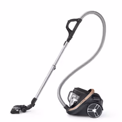 Rowenta Silence Force RO7954EA Aspirateur 2,5 L Aspirateur réservoir cylindrique Sec 500 W Sans sac