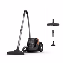 Rowenta Green Force RO7C30, 500 W, Aspirateur réservoir cylindrique, Sec, Sans sac, 2,5 L, HEPA