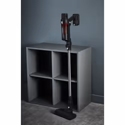 Rowenta X-Pert 7.60 RH6A75WO aspirateur de table Noir, Rouge Sans sac - Vue supplémentaire 7
