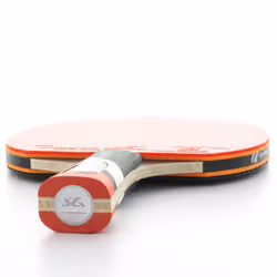 Cornilleau Perform 800 table de tennis de table Noir
