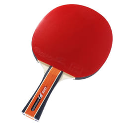 Cornilleau Sport 300 table de tennis de table Noir, Rouge