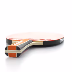 Cornilleau Sport 300 table de tennis de table Noir, Rouge