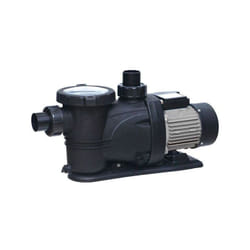 Pompe 600 w pour filtration