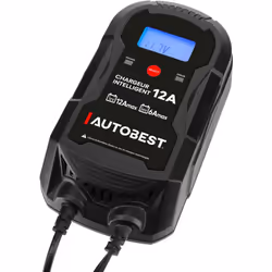Caractéristiques techniques Maintien de charge Fonction test batterie et alternateur Ecran rétro éclairé LCD. 12V-12A / 24V - ...