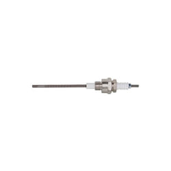 Electrode d'ionisation