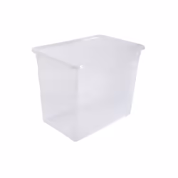 Rotho 1422900096WS, Boîte de rangement, Transparent, Rectangulaire, Plastique, Monochromatique, Intérieure
