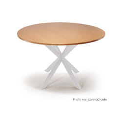 Pied de table central coloris blanc mat